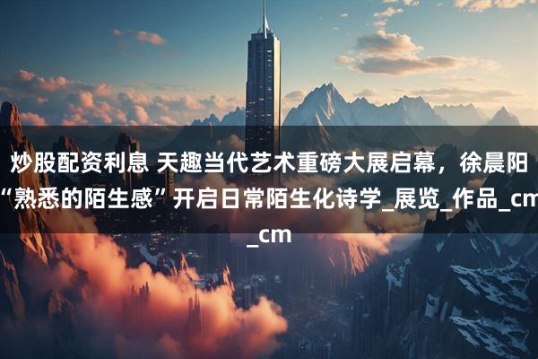 炒股配资利息 天趣当代艺术重磅大展启幕，徐晨阳“熟悉的陌生感”开启日常陌生化诗学_展览_作品_cm