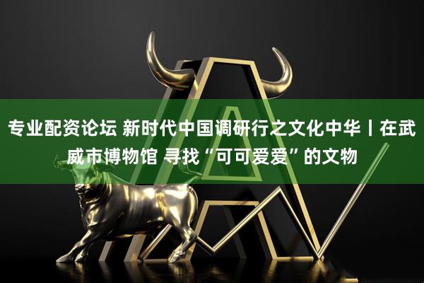 专业配资论坛 新时代中国调研行之文化中华丨在武威市博物馆 寻找“可可爱爱”的文物