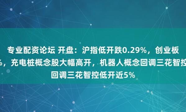 专业配资论坛 开盘：沪指低开跌0.29%，创业板指跌0.58%，充电桩概念股大幅高开，机器人概念回调三花智控低开近5%