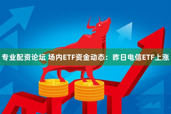 专业配资论坛 场内ETF资金动态：昨日电信ETF上涨